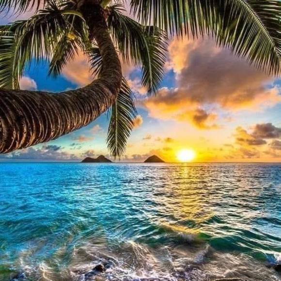 Meet your Posher, Reesecup - Picture 1 of 1